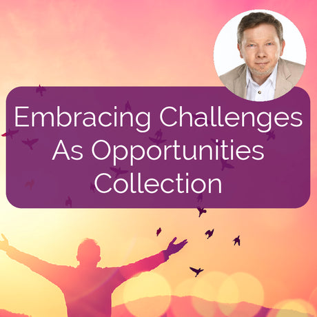 Embracing Challenges as Opportunities