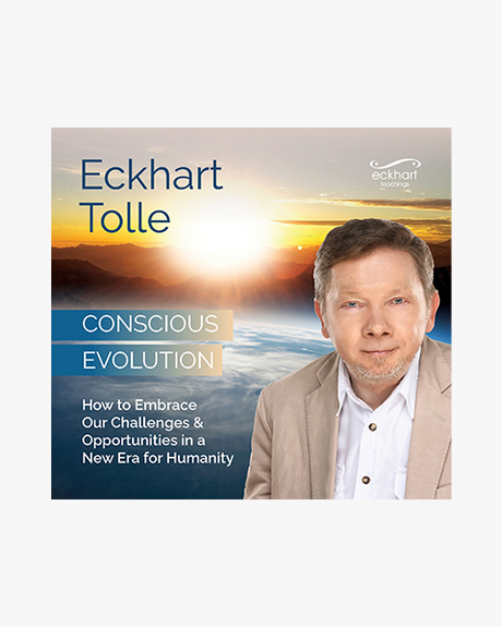 Conscious Evolution