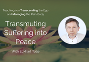 Transmuting Suffering into Peace