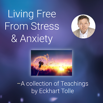 Living Free From Stress and Anxiety